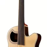 La basse acoustique Warwick Alien Deluxe 5 NT FL | Test, Avis & Comparatif