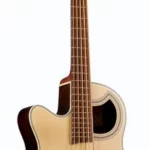 La basse acoustique Warwick Alien Deluxe 5 NT LH | Test, Avis & Comparatif