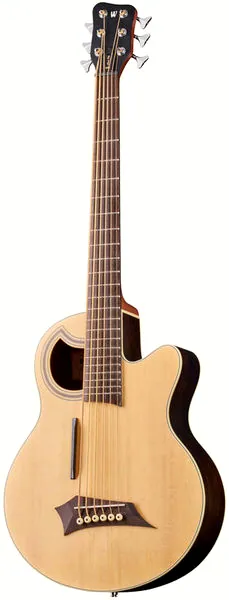 acoustique Warwick Alien Deluxe 6 NT