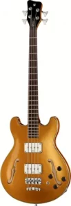 acoustique Warwick RB Star Bass 4 MGHP