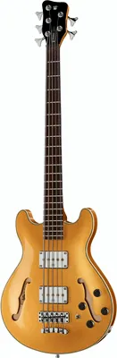 acoustique Warwick RB Star Bass 5 MGHP