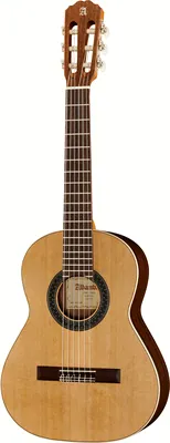 Alhambra 1 OP 1/2 incl.Gig Bag