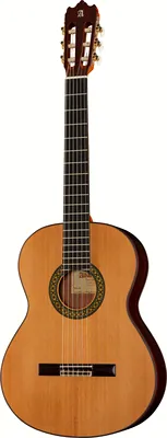 Alhambra 4 OP incl.Gig Bag