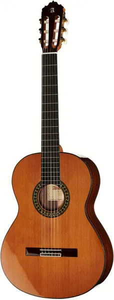 Alhambra 5P incl.Gig Bag