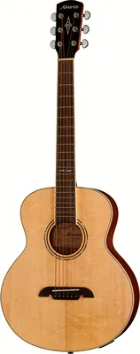 Alvarez LJ60 E