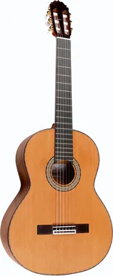 Amalio Burguet Noguera Walnut
