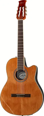 Applause AB24CII Mid Cutaway Nylon