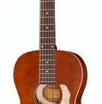 Guitare acoustique Art & Lutherie Roadhouse Hav.Brown Q-Discrete | Test, Avis & Comparatif