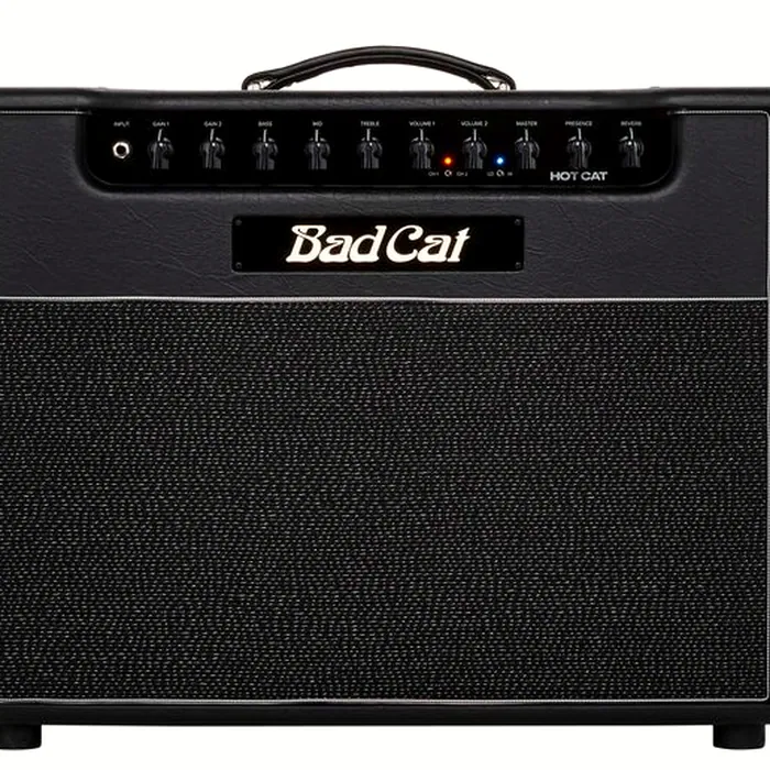 Bad Cat Hot Cat 1x12 Combo – photo 9