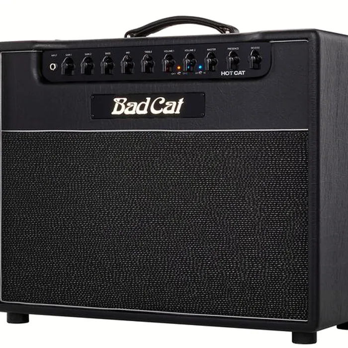 Bad Cat Hot Cat 1x12 Combo – photo 11