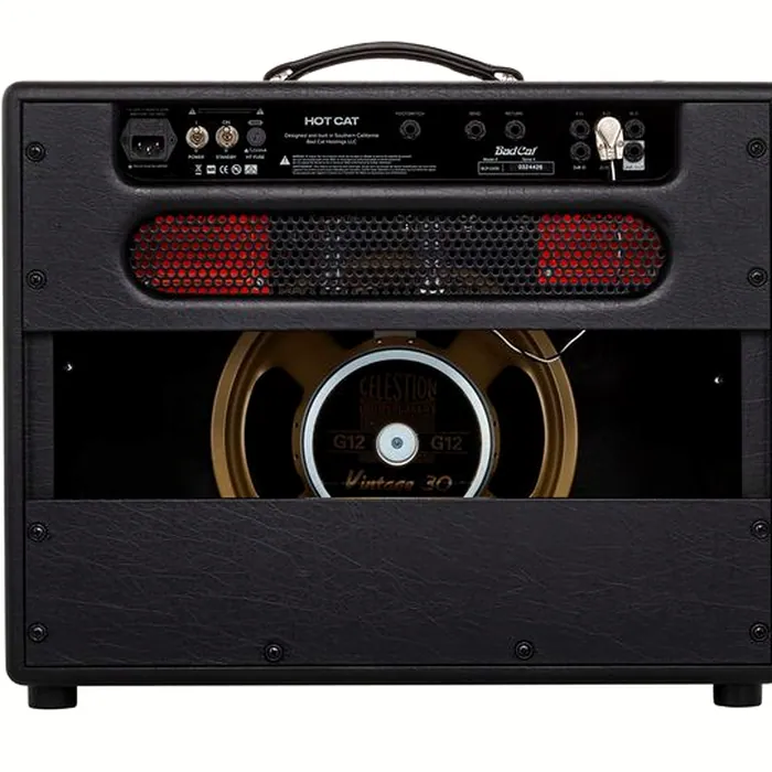 Bad Cat Hot Cat 1x12 Combo – photo 10