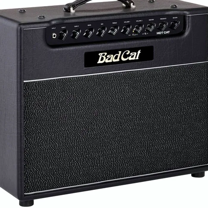 Bad Cat Hot Cat 1x12 Combo – photo 6