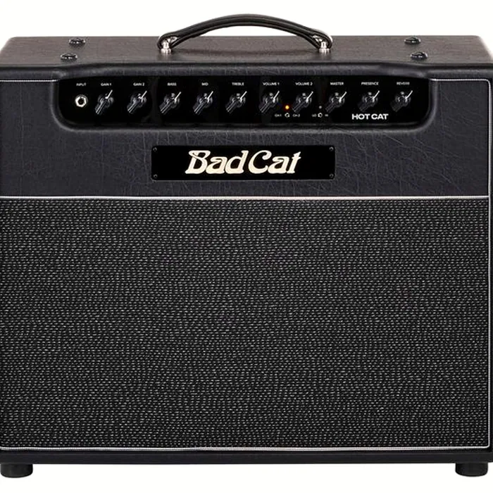 Bad Cat Hot Cat 1x12 Combo – photo 5