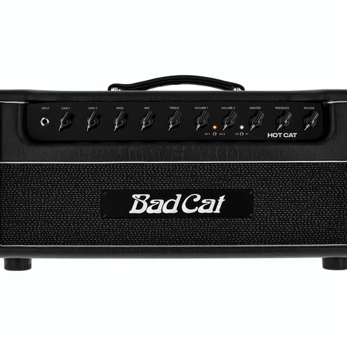 Bad Cat Hot Cat Head – photo 9
