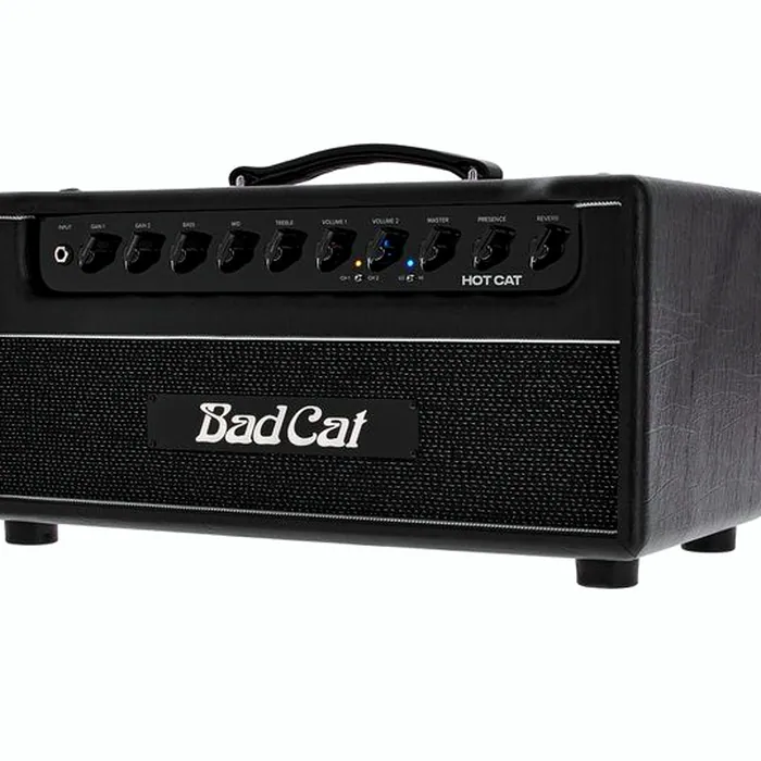 Bad Cat Hot Cat Head – photo 8