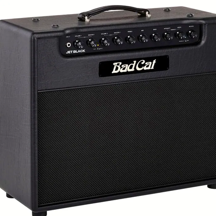 Bad Cat Jet Black 1x12 Combo – photo 6