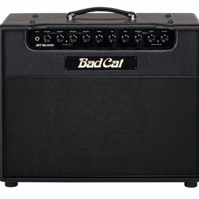 Bad Cat Jet Black 1x12 Combo – photo 5