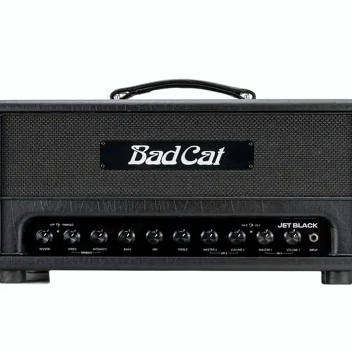 Bad Cat Jet Black Head – photo 4