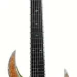 La guitare électrique BC Rich Shredzilla 7 Pro Archtop FR SM | Test, Avis & Comparatif | E.G.L