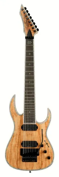 BC Rich Shredzilla 8 Pro Archtop FR SM