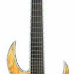 La guitare électrique BC Rich Shredzilla Extreme 7 Exotic SM | Test, Avis & Comparatif | E.G.L