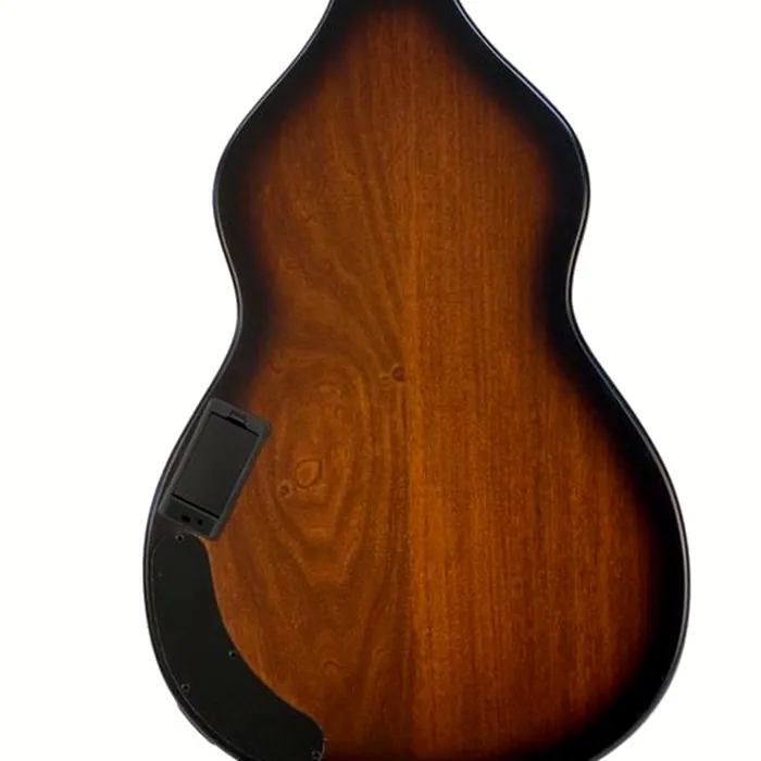 Beard Guitars Road-O-Phonic HSDS TS – photo 5
