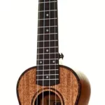 Le ukulélé Cascha E-Soprano Ukulele Premium Mah | Test, Avis & Comparatif