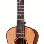Le ukulélé Cascha E-Tenor Ukulele Premium Mah | Test, Avis & Comparatif