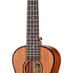 Le ukulélé Cascha Premium Mahag. Concert Bd.FR | Test, Avis & Comparatif