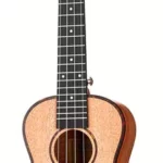 Le ukulélé Cascha Premium Mahag. Concert Bd.Ger | Test, Avis & Comparatif