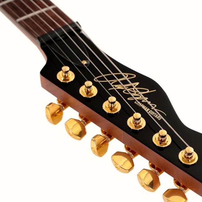 Chapman Guitars Pegasus Paradise Purple – photo 10