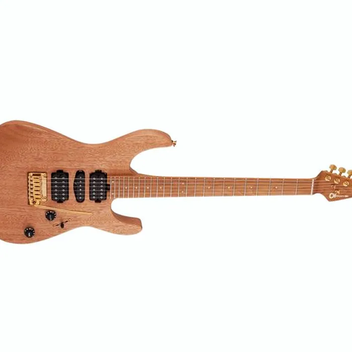Charvel Pro-Mod DK24 HSH 2PT CM MH – photo 6