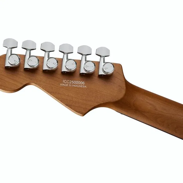 Charvel Pro Mod Plus DK24 RVEN BLK – photo 8