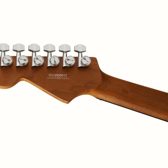 Charvel Pro Mod Plus DK24 VRAD – photo 8