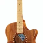 Guitare acoustique Cole Clark AN2EC-BLBL-SB Satin Box Fretb. | Test, Avis & Comparatif