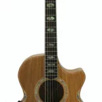 Guitare acoustique Cole Clark CCAN3EC-BLBL Natural | Test, Avis & Comparatif