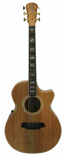 Cole Clark CCAN3EC-BLBL Natural