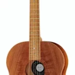 Guitare acoustique Cole Clark Little Lady 2 LL2E-RDBL | Test, Avis & Comparatif