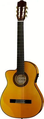 Cordoba 55FCE Thinbody Flamenco Left