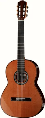 Cordoba C 10 Parlor 7/8 Cedar Top