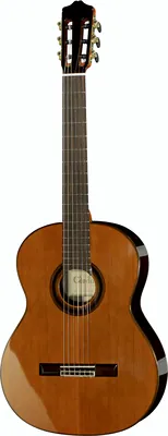 Cordoba C7