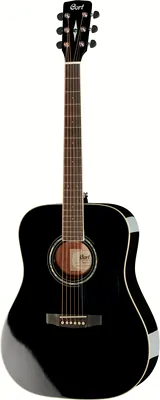 Cort Earth 100 BK