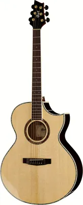 Cort NDX50 NT