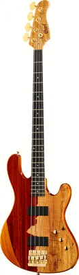 Cort Rithimic Jeff Berlin 4
