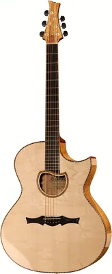 Cuntz Guitars CWG-23S Muving Custom