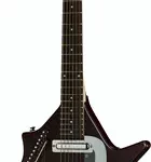 La guitare électrique Danelectro Sitar | Test, Avis & Comparatif | E.G.L