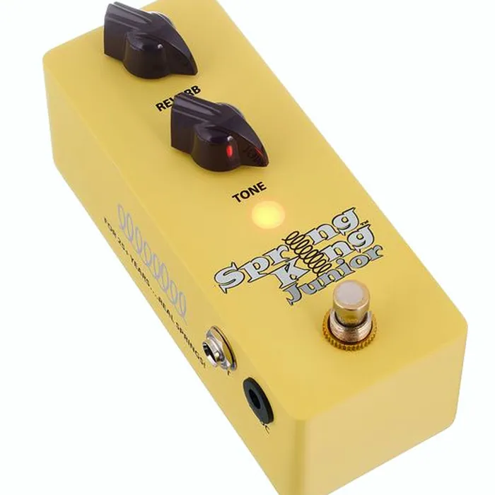 Danelectro SKJ-1 Spring King Junior – photo 6