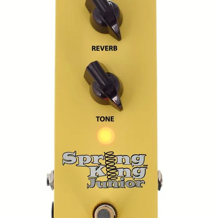 Danelectro SKJ-1 Spring King Junior – photo 8