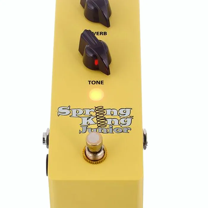 Danelectro SKJ-1 Spring King Junior – photo 5
