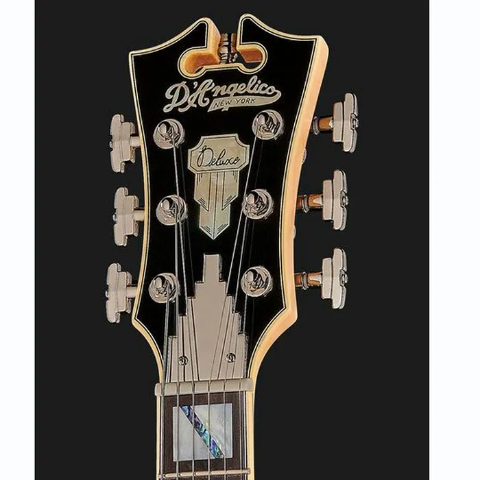 DAngelico Deluxe Bedford DG – photo 8
